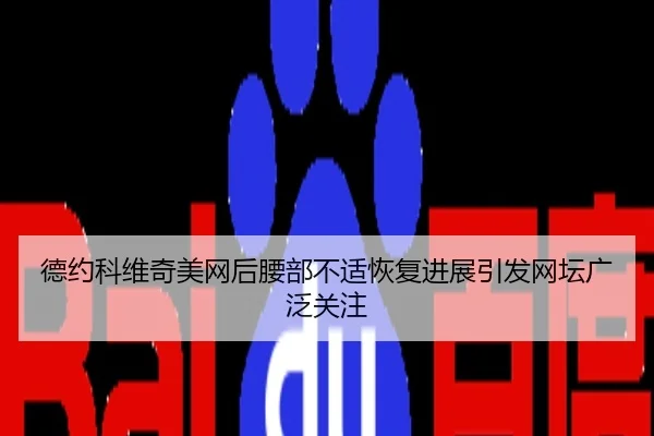 德约科维奇美网后腰部不适恢复进展引发网坛广泛关注